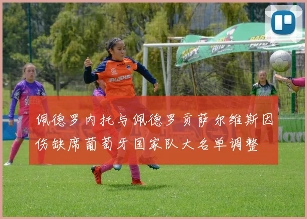 佩德罗内托与佩德罗贡萨尔维斯因伤缺席葡萄牙国家队大名单调整