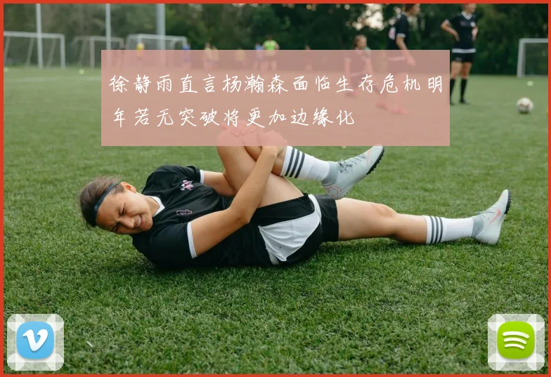 徐静雨直言杨瀚森面临生存危机明年若无突破将更加边缘化
