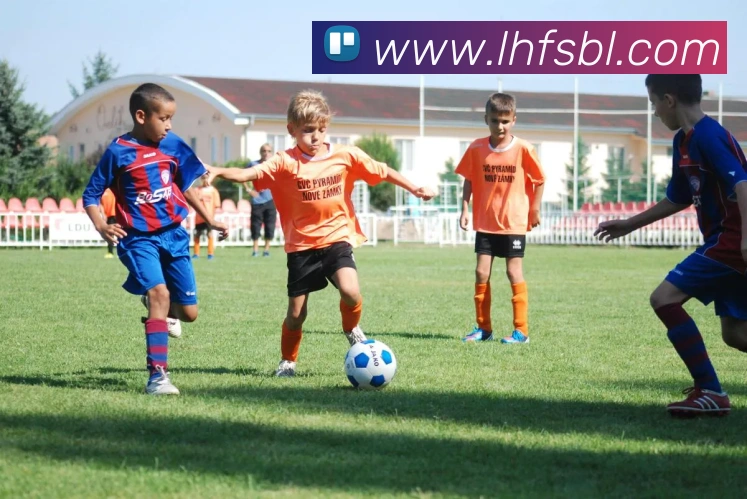 欧宝网页版平台生态图